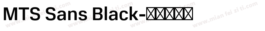 MTS Sans Black字体转换